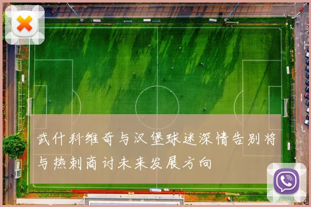 武什科维奇与汉堡球迷深情告别将与热刺商讨未来发展方向